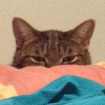 Kramerica Industries